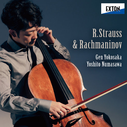 办公室刺激战场一共几集
